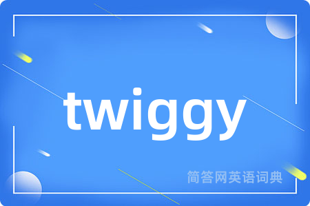 twiggy是什么意思,twiggy的中文翻译 twiggy