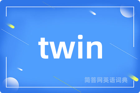 twin是什么意思,twin的中文翻译 twin