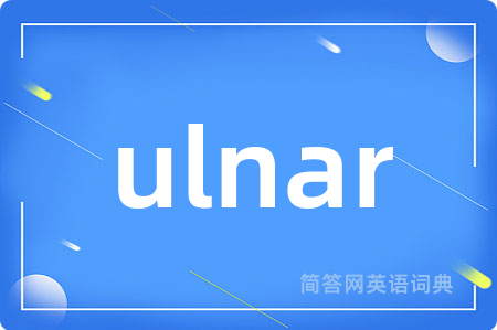 ulnar是什么意思,ulnar的中文翻译 ulnar