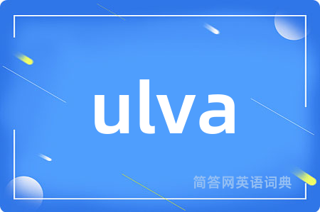 ulva是什么意思,ulva的中文翻译 ulva