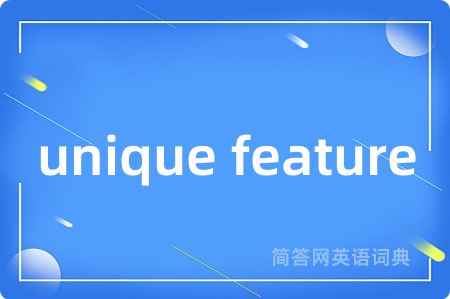 unique feature是什么意思,unique feature的中文翻译 unique feature