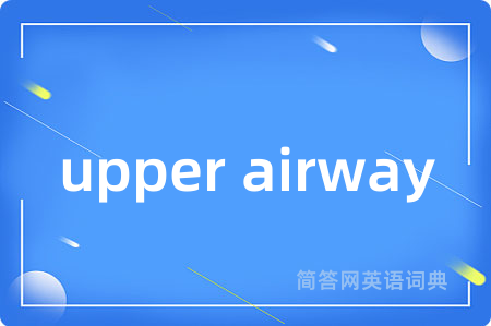 upper airway