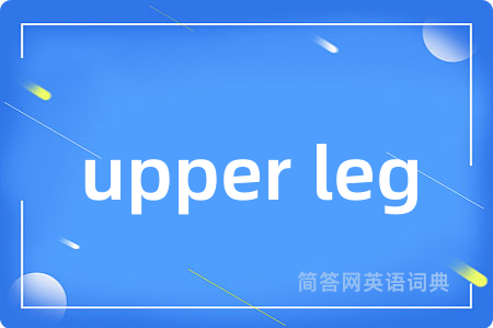upper leg是什么意思,upper leg的中文翻译 upper leg