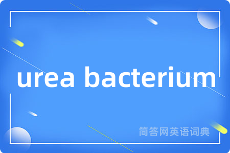 urea bacterium