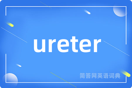ureter