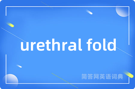 urethral fold是什么意思,urethral fold的中文翻译 urethral fold