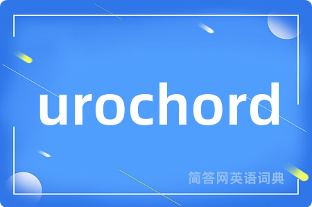 urochord是什么意思,urochord的中文翻译 urochord