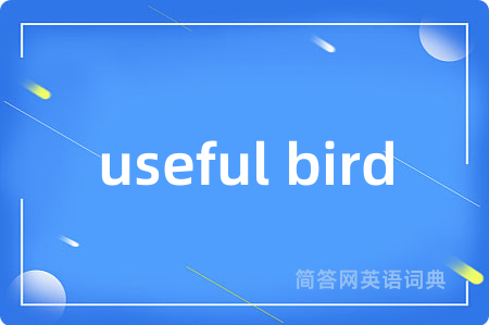 useful bird是什么意思,useful bird的中文翻译 useful bird