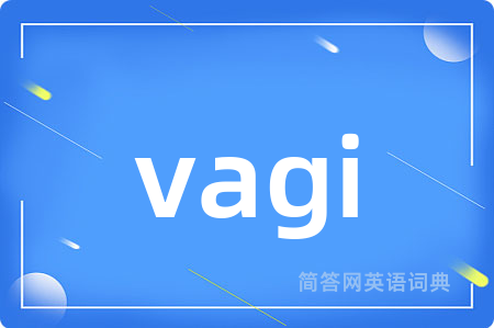 vagi是什么意思,vagi的中文翻译 vagi