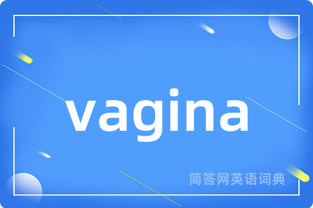 vagina
