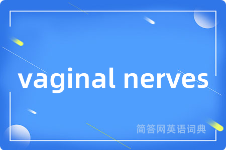 vaginal nerves