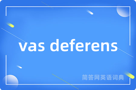 vas deferens