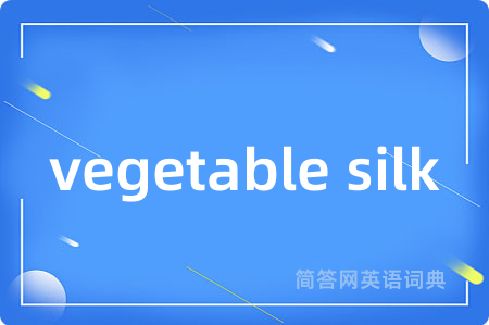 vegetable silk是什么意思,vegetable silk的中文翻译 vegetable silk