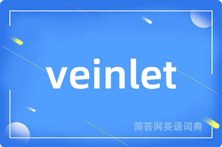 veinlet是什么意思,veinlet的中文翻译 veinlet
