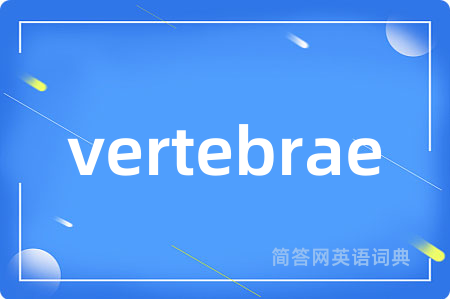 vertebrae是什么意思,vertebrae的中文翻译 vertebrae