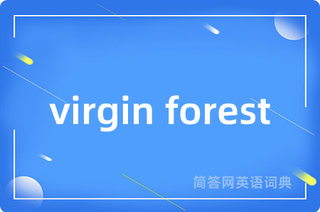 virgin forest