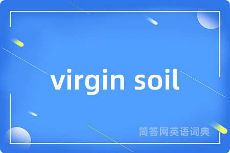 virgin soil是什么意思,virgin soil的中文翻译 virgin soil