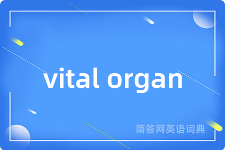 vital organ是什么意思,vital organ的中文翻译 vital organ