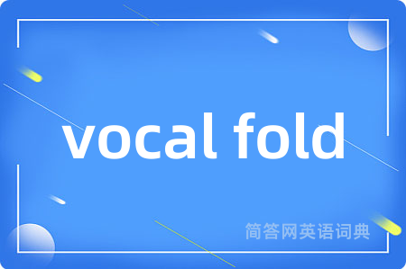 vocal fold是什么意思,vocal fold的中文翻译 vocal fold