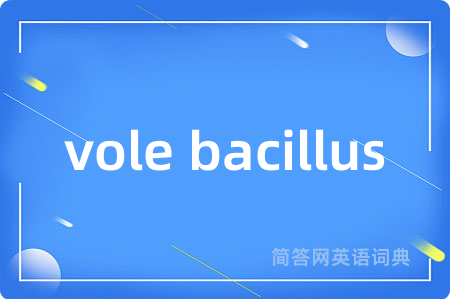 vole bacillus