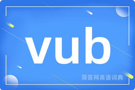 vub是什么意思,vub的中文翻译 vub
