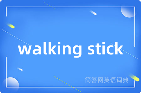 walking stick是什么意思,walking stick的中文翻译 walking stick