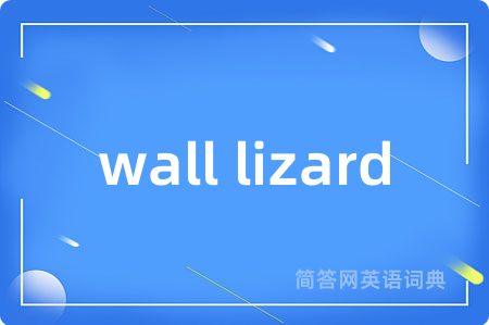 wall lizard