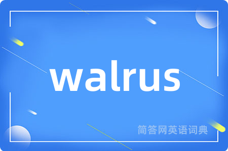 walrus