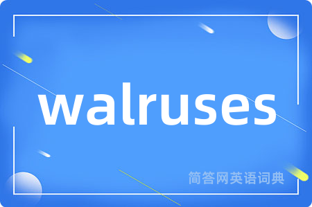 walruses是什么意思,walruses的中文翻译 walruses
