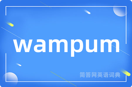 wampum是什么意思,wampum的中文翻译 wampum
