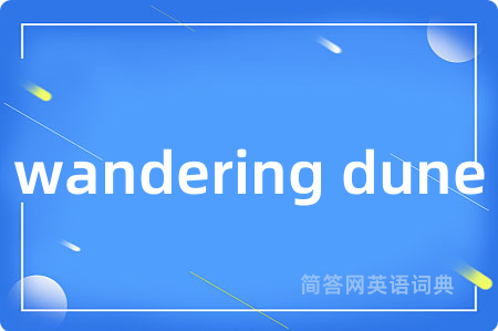 wandering dune是什么意思,wandering dune的中文翻译 wandering dune
