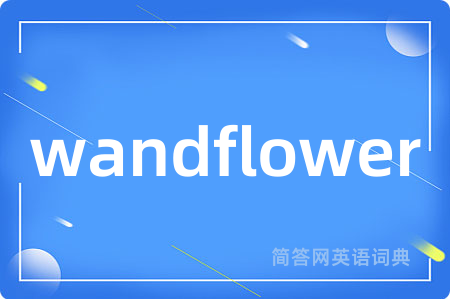 wandflower是什么意思,wandflower的中文翻译 wandflower