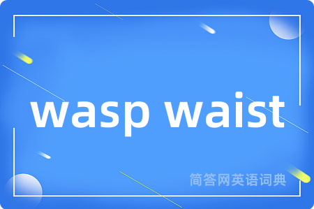 wasp waist