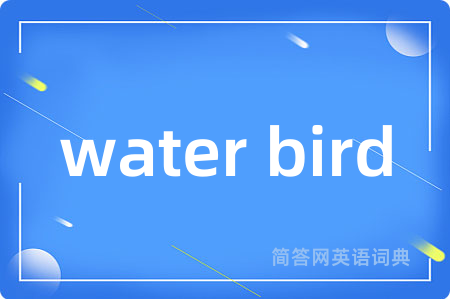 water bird