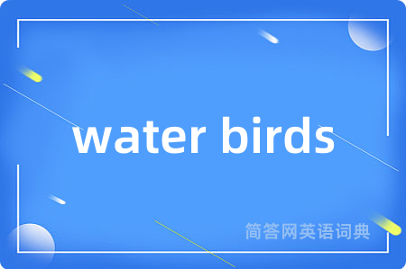 water birds是什么意思,water birds的中文翻译 water birds