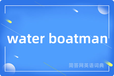 water boatman