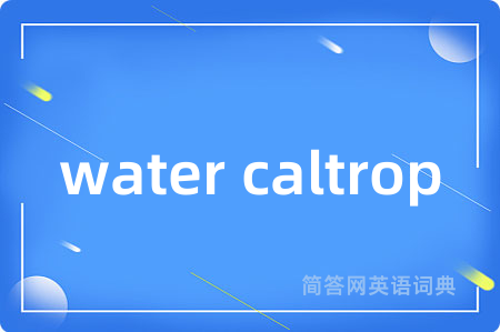 water caltrop