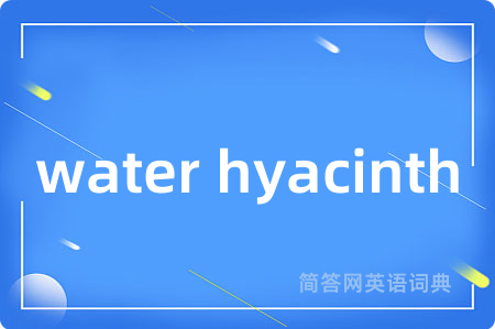 water hyacinth是什么意思,water hyacinth的中文翻译 water hyacinth