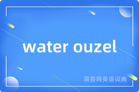 water ouzel是什么意思,water ouzel的中文翻译 water ouzel