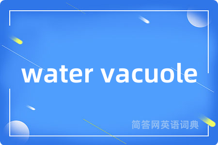 water vacuole是什么意思,water vacuole的中文翻译 water vacuole