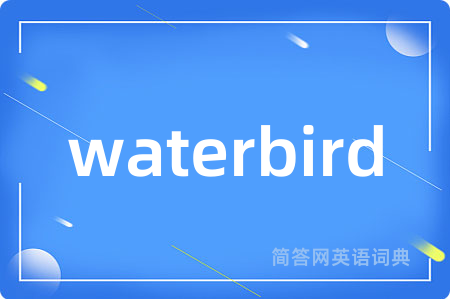 waterbird