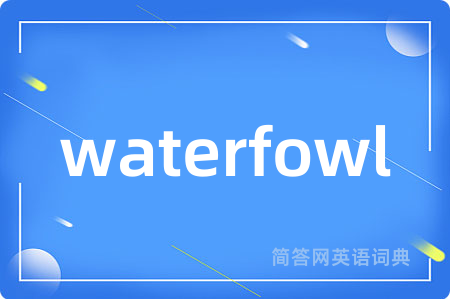 waterfowl