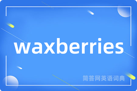 waxberries是什么意思,waxberries的中文翻译 waxberries