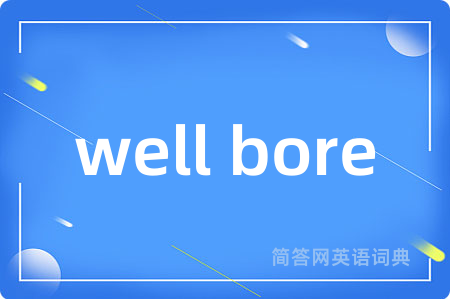well bore