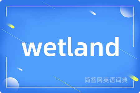wetland是什么意思,wetland的中文翻译 wetland