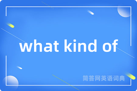 what kind of