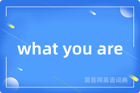 what you are是什么意思,what you are的中文翻译 what you are