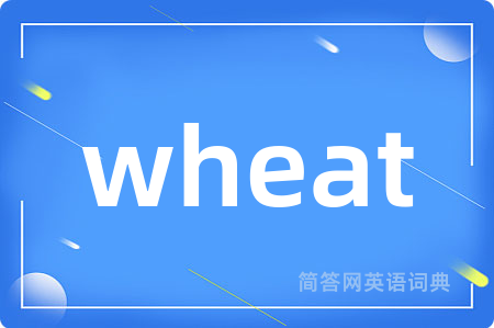wheat是什么意思,wheat的中文翻译 wheat