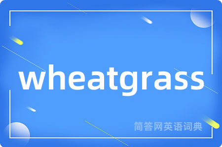 wheatgrass是什么意思,wheatgrass的中文翻译 wheatgrass