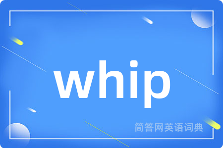 whip是什么意思,whip的中文翻译 whip
